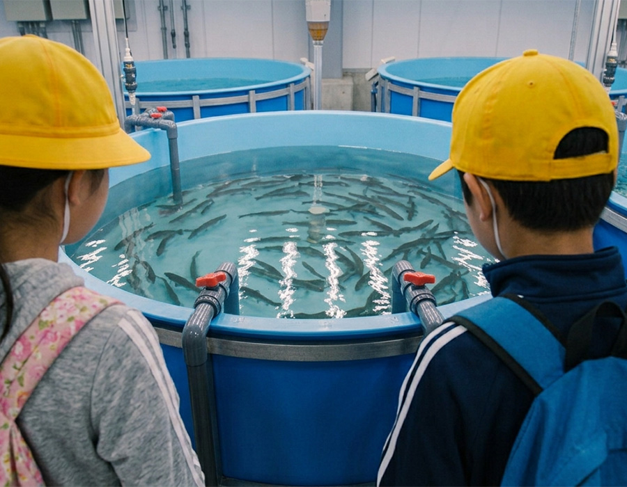 氷見の養殖場での学校見学